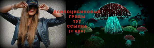 дживик Армянск