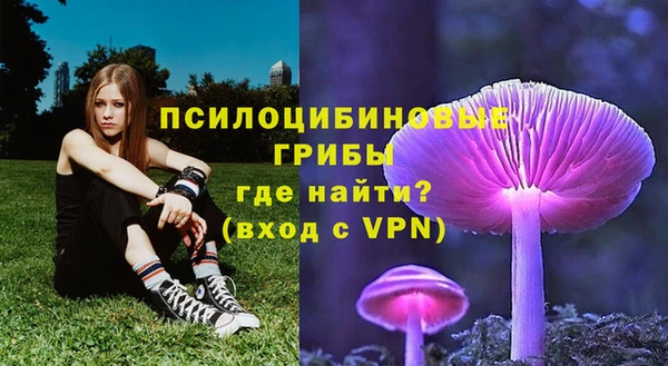 дживик Армянск