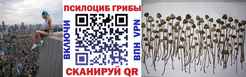 omg как зайти  купить закладку  Белёв  Псилоцибиновые грибы мухоморы 